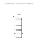 METHOD OF PREDICTING ACUTE APPENDICITIS diagram and image