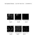 IMAGE ANALYSIS AND MEASUREMENT OF BIOLOGICAL SAMPLES diagram and image