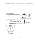 DEVELOPMENT OF SPECIFIC IMMUNOASSAY CRITICAL REAGENTS FOR PHARMACOKINETIC     ASSESSMENTS OF PEPTIDE POLYMERS IN PRECLINICAL AND CLINICAL MATRICES diagram and image