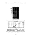 DEVELOPMENT OF SPECIFIC IMMUNOASSAY CRITICAL REAGENTS FOR PHARMACOKINETIC     ASSESSMENTS OF PEPTIDE POLYMERS IN PRECLINICAL AND CLINICAL MATRICES diagram and image