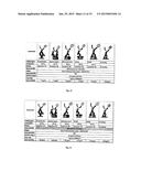 DEVELOPMENT OF SPECIFIC IMMUNOASSAY CRITICAL REAGENTS FOR PHARMACOKINETIC     ASSESSMENTS OF PEPTIDE POLYMERS IN PRECLINICAL AND CLINICAL MATRICES diagram and image