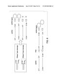 LIGASE-ASSISTED NUCLEIC ACID CIRCULARIZATION AND AMPLIFICATION diagram and image