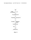 LIGASE-ASSISTED NUCLEIC ACID CIRCULARIZATION AND AMPLIFICATION diagram and image