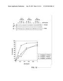 LIGASE-ASSISTED NUCLEIC ACID CIRCULARIZATION AND AMPLIFICATION diagram and image