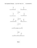 DNA ASSEMBLY USING AN RNA-PROGRAMMABLE NICKASE diagram and image