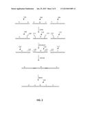 DNA ASSEMBLY USING AN RNA-PROGRAMMABLE NICKASE diagram and image