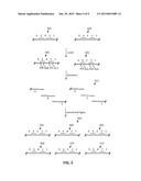 DNA ASSEMBLY USING AN RNA-PROGRAMMABLE NICKASE diagram and image