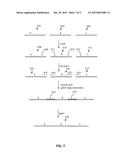 DNA ASSEMBLY USING AN RNA-PROGRAMMABLE NICKASE diagram and image