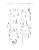 MULTIZYMES AND THEIR USE IN MAKING POLYUNSATURATED FATTY ACIDS diagram and image