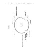 MULTIZYMES AND THEIR USE IN MAKING POLYUNSATURATED FATTY ACIDS diagram and image