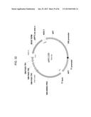 MULTIZYMES AND THEIR USE IN MAKING POLYUNSATURATED FATTY ACIDS diagram and image