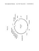 MULTIZYMES AND THEIR USE IN MAKING POLYUNSATURATED FATTY ACIDS diagram and image