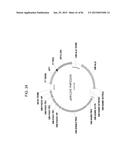 MULTIZYMES AND THEIR USE IN MAKING POLYUNSATURATED FATTY ACIDS diagram and image