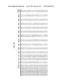 MULTIZYMES AND THEIR USE IN MAKING POLYUNSATURATED FATTY ACIDS diagram and image