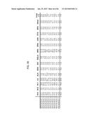 MULTIZYMES AND THEIR USE IN MAKING POLYUNSATURATED FATTY ACIDS diagram and image