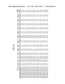 MULTIZYMES AND THEIR USE IN MAKING POLYUNSATURATED FATTY ACIDS diagram and image