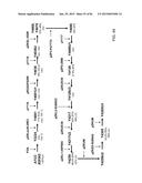 MULTIZYMES AND THEIR USE IN MAKING POLYUNSATURATED FATTY ACIDS diagram and image