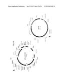 MULTIZYMES AND THEIR USE IN MAKING POLYUNSATURATED FATTY ACIDS diagram and image