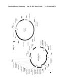 MULTIZYMES AND THEIR USE IN MAKING POLYUNSATURATED FATTY ACIDS diagram and image