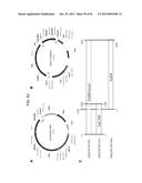 MULTIZYMES AND THEIR USE IN MAKING POLYUNSATURATED FATTY ACIDS diagram and image