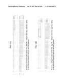 MULTIZYMES AND THEIR USE IN MAKING POLYUNSATURATED FATTY ACIDS diagram and image