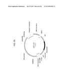 MULTIZYMES AND THEIR USE IN MAKING POLYUNSATURATED FATTY ACIDS diagram and image