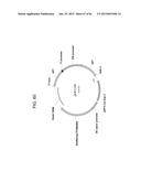 MULTIZYMES AND THEIR USE IN MAKING POLYUNSATURATED FATTY ACIDS diagram and image