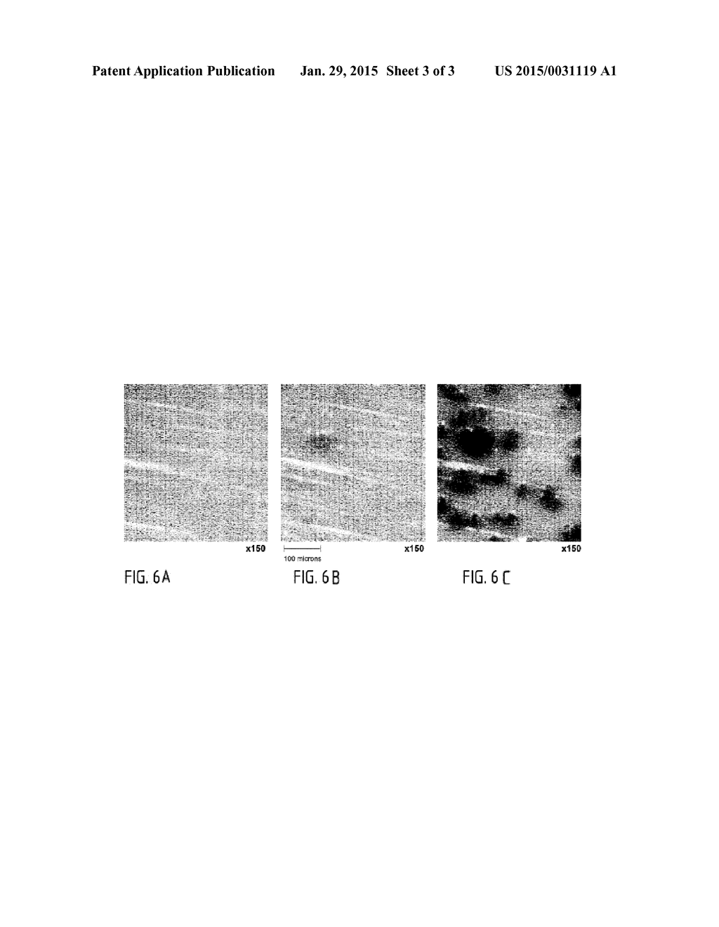 DEVICE FOR EARLY DETECTION OF MICRO-ORGANISMS - diagram, schematic, and image 04