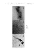 SELF-ASSEMBLED NANOSTRUCTURES diagram and image