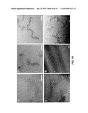 SELF-ASSEMBLED NANOSTRUCTURES diagram and image