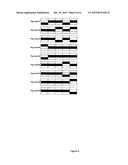 METHOD OF SIMULTANEOUS INDICATION OF MULTIPLE WINNING COMBINATIONS IN A     SYMBOL MATRIX diagram and image