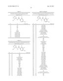 HERBICIDALLY ACTIVE 4-NITRO-SUBSTITUTED N-(TETRAZOL-5-YL)-,     N-(TRIAZOL-5-YL)-, AND N-(1,3,4-OXADIAZOL-2-YL)ARYL CARBOXYLIC ACID     AMIDES diagram and image