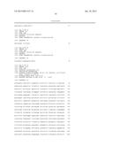 DETECTION OF SHIGA TOXIN GENES IN BACTERIA diagram and image