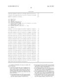 DETECTION OF SHIGA TOXIN GENES IN BACTERIA diagram and image