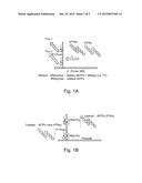 SEQUENCING BY ORTHOGONAL SYNTHESIS diagram and image