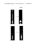 DESIGNED BIOSURFACTANTS, THEIR MANUFACTURE, PURIFICATION AND USE diagram and image