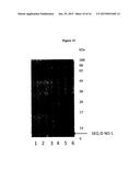 DESIGNED BIOSURFACTANTS, THEIR MANUFACTURE, PURIFICATION AND USE diagram and image