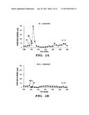 METHODS OF INHIBITING THE GHRELIN/GROWTH HORMONE SECRETATOGUE RECEPTOR     PATHWAY AND USES THEREOF diagram and image