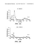 METHODS OF INHIBITING THE GHRELIN/GROWTH HORMONE SECRETATOGUE RECEPTOR     PATHWAY AND USES THEREOF diagram and image