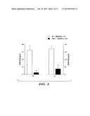 METHODS OF INHIBITING THE GHRELIN/GROWTH HORMONE SECRETATOGUE RECEPTOR     PATHWAY AND USES THEREOF diagram and image