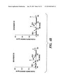 METHODS OF INHIBITING THE GHRELIN/GROWTH HORMONE SECRETATOGUE RECEPTOR     PATHWAY AND USES THEREOF diagram and image