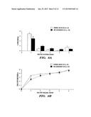 METHODS OF INHIBITING THE GHRELIN/GROWTH HORMONE SECRETATOGUE RECEPTOR     PATHWAY AND USES THEREOF diagram and image