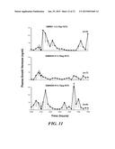 METHODS OF INHIBITING THE GHRELIN/GROWTH HORMONE SECRETATOGUE RECEPTOR     PATHWAY AND USES THEREOF diagram and image