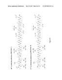 Allosteric Modulators of EGFR and Constitutively Active Mutants diagram and image