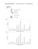 MUTEINS OF A1M LIPOCALIN AND METHOD OF PRODUCTION THEREFOR diagram and image