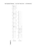 MUTEINS OF A1M LIPOCALIN AND METHOD OF PRODUCTION THEREFOR diagram and image