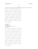 MUTEINS OF A1M LIPOCALIN AND METHOD OF PRODUCTION THEREFOR diagram and image