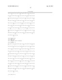 MUTEINS OF A1M LIPOCALIN AND METHOD OF PRODUCTION THEREFOR diagram and image