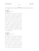 MUTEINS OF A1M LIPOCALIN AND METHOD OF PRODUCTION THEREFOR diagram and image