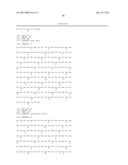 MUTEINS OF A1M LIPOCALIN AND METHOD OF PRODUCTION THEREFOR diagram and image